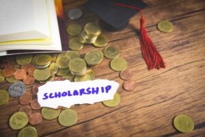 Government-Funded Scholarships